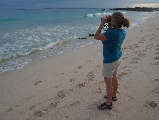 Woman using the 8x42,10x42 Sport ED to watch the sea
