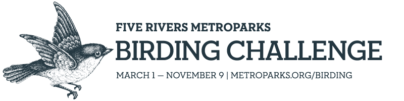 Birding Challenge Banner
